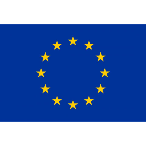 Bandera Comunidad Europea 100% poliester 100x150
