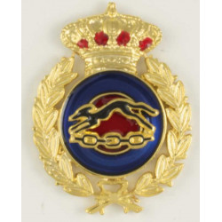 Distintivo Profesor Educación Física Militar